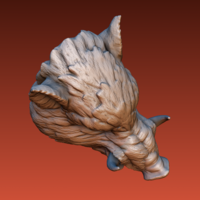 Boar head - Thumbnail 15