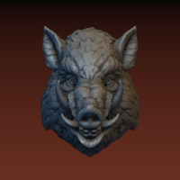 Boar head - Thumbnail 16
