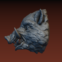 Boar head - Thumbnail 17