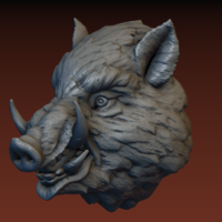 Boar head - Thumbnail 19