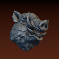 Boar head - Thumbnail 20
