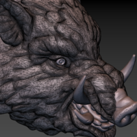 Boar head - Thumbnail 21