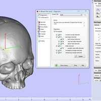 Skull. Without the lower jaw.  - Thumbnail 15
