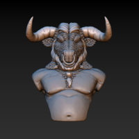 Minotaur bust - Thumbnail 9