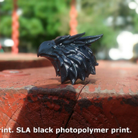 Griffin head Eagle head - Thumbnail 17