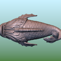 Dolphin fish - Thumbnail 5