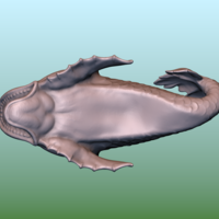 Dolphin fish - Thumbnail 7