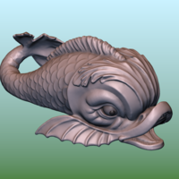 Dolphin fish - Thumbnail 8