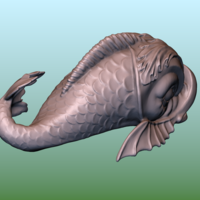 Dolphin fish - Thumbnail 9