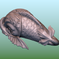 Dolphin fish - Thumbnail 10