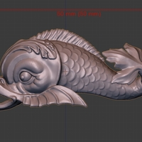 Dolphin fish - Thumbnail 11