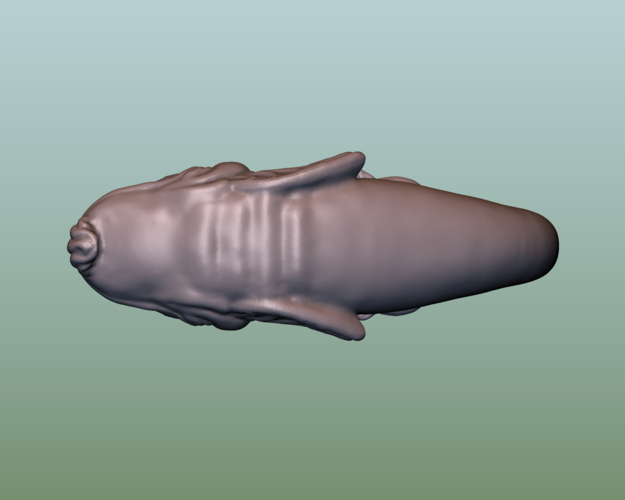 Fish 3D Print 166043