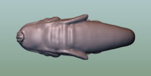 Image 166043