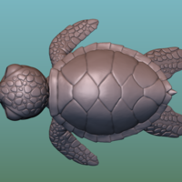 Turtle. Sea turtle cartoon - Thumbnail 6