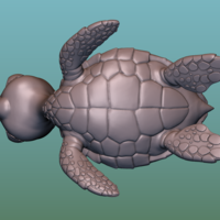 Turtle. Sea turtle cartoon - Thumbnail 7