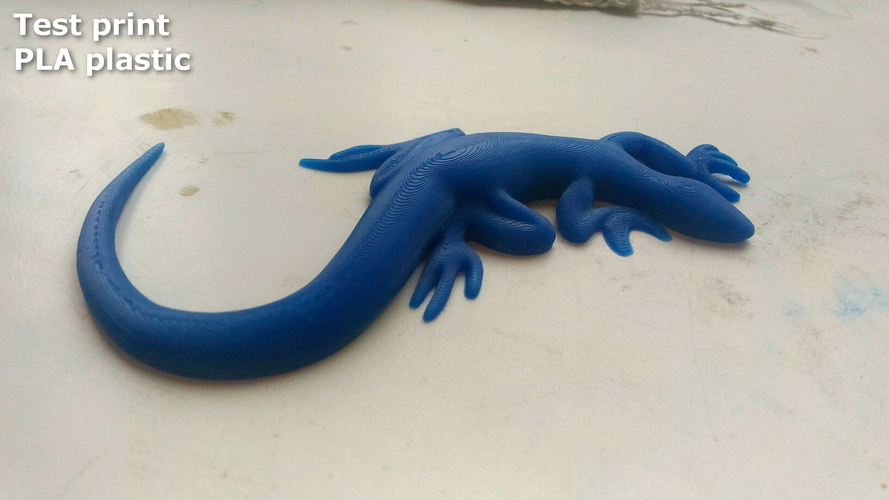Lizard 3D Print 166181