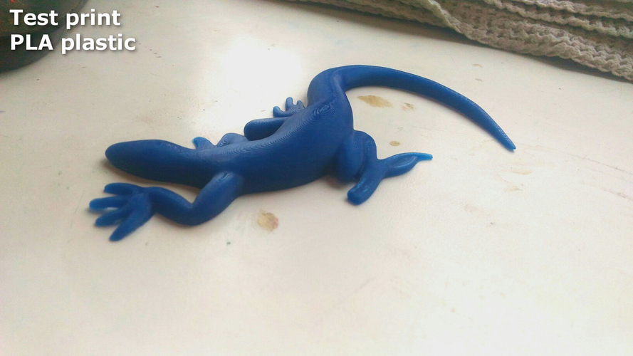 Lizard 3D Print 166182
