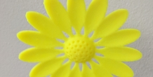 Image 166463