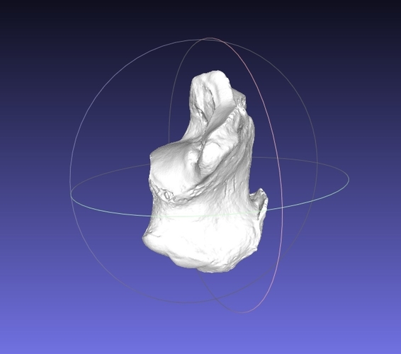 High resolution Human Calcaneus (Heel Bone) Scan 3D Print 166735