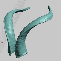 Small Real Evil Satan Goat Horns, High Resolution Scans 3D Printing 166739