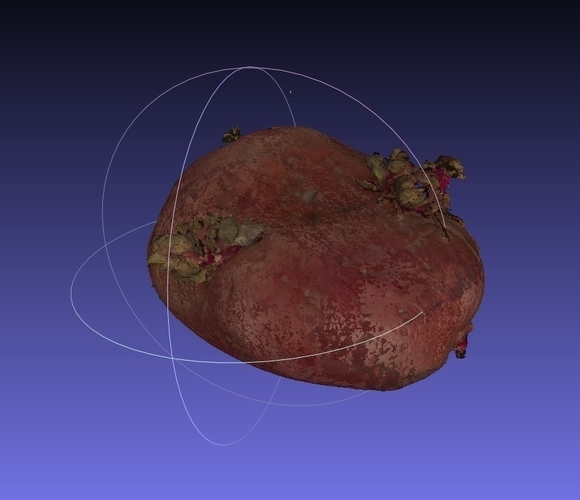 Potato Scan with NextEngine Scanner - Fruits and Vegetables 3D Print 166747