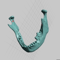 Small Human Mandible (Jaw) Bone Scan, Asian Ancestry, Female Sex 3D Printing 166752