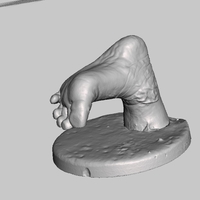 Small BabyFoot Keepsake Memento Scan, Hannah 3D Printing 166779