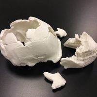 Small Homo Naledi Skull Reconstruction - Calvaria 3D Printing 166790