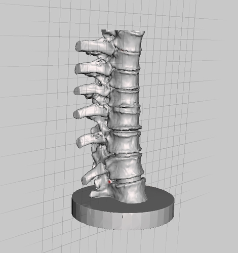 Bone vertebrae Spine Candle Holder 3D Print 166794