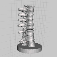 Small Bone vertebrae Spine Candle Holder 3D Printing 166794