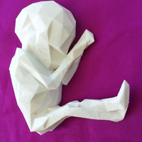 Small Alien Fetus Fridge Magnet Baby - Low Poly 3D Printing 166796