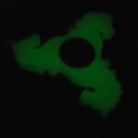 Horse Fidget Spinner - Thumbnail 2