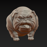 Dog. English bulldog stylized. - Thumbnail 19