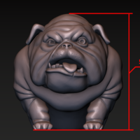 Dog. English bulldog stylized. - Thumbnail 20
