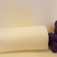 Paper towel man - Thumbnail 3