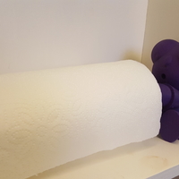 Small Paper towel man 3D Printing 167103