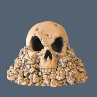 Skull on Rocks - Thumbnail 1