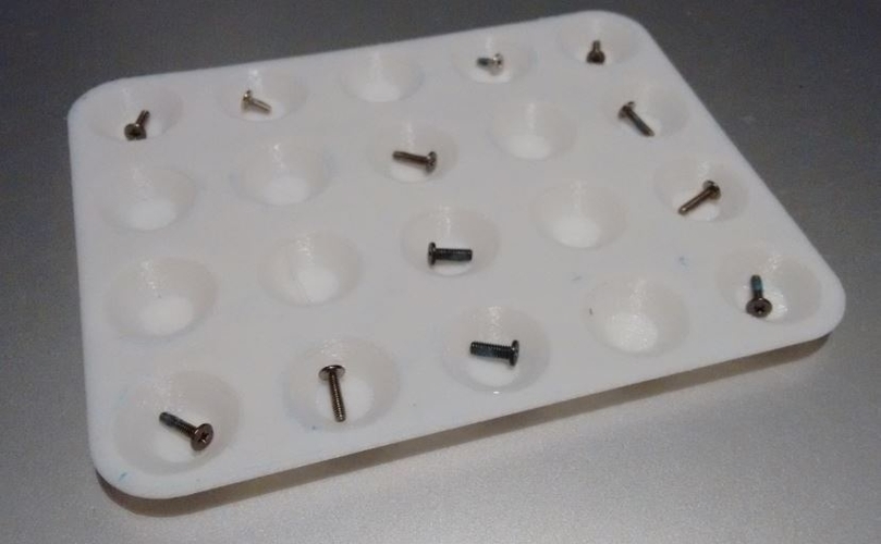 Laptop or mobile phone repair screw sorting tray 3D Print 168241