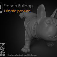 French Bulldog - Thumbnail 2