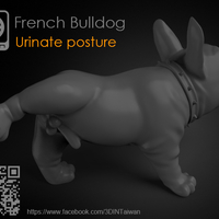 French Bulldog - Thumbnail 3