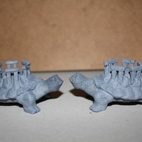 Tortoise Henge - Thumbnail 2