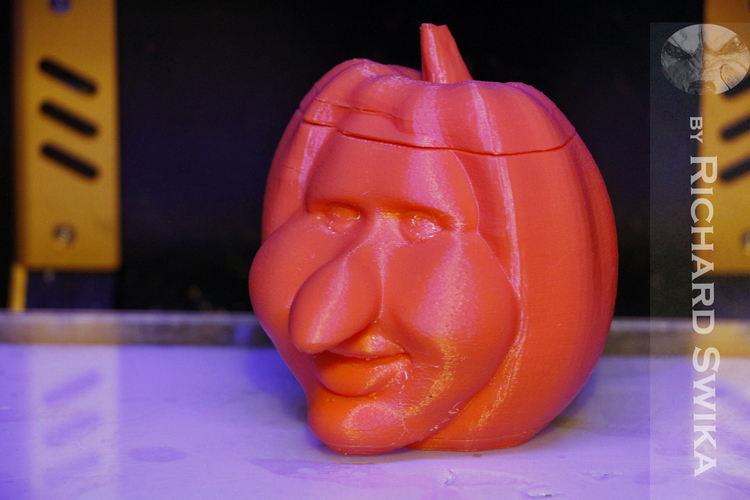 Toonkin 3D Sculpted Halloween Pumpkin Decoration 3D Print 169023