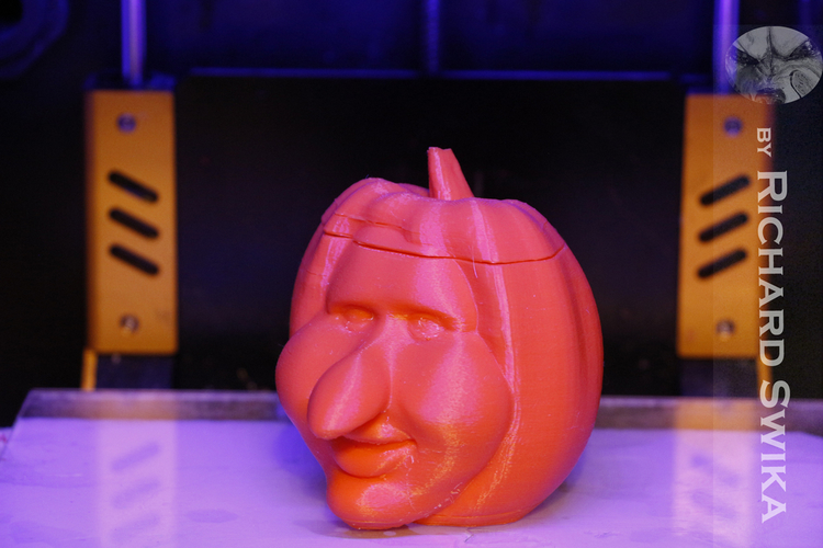 Toonkin 3D Sculpted Halloween Pumpkin Decoration 3D Print 169024