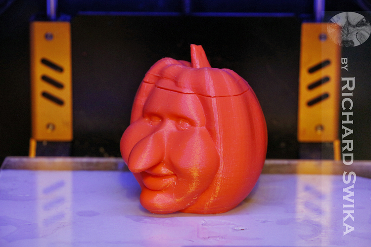 Toonkin 3D Sculpted Halloween Pumpkin Decoration 3D Print 169027