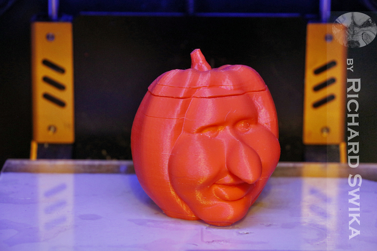 Toonkin 3D Sculpted Halloween Pumpkin Decoration 3D Print 169028