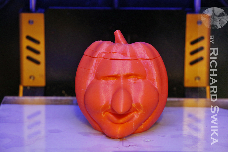 Toonkin 3D Sculpted Halloween Pumpkin Decoration 3D Print 169029
