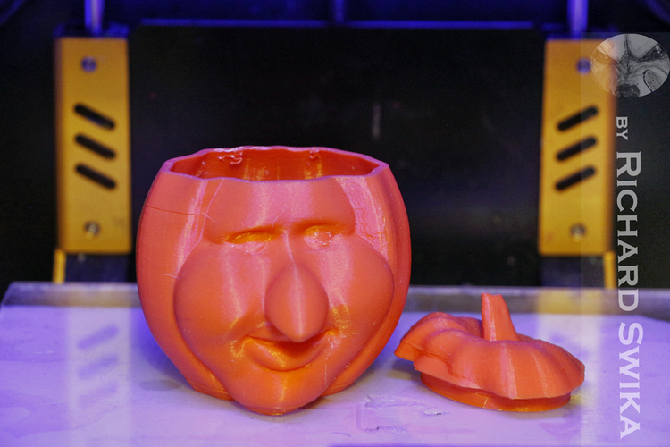 Toonkin 3D Sculpted Halloween Pumpkin Decoration 3D Print 169030