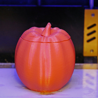 Toonkin 3D Sculpted Halloween Pumpkin Decoration - Thumbnail 9