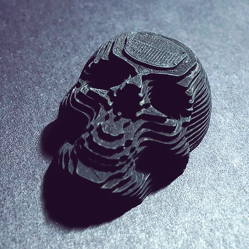 Topographic Skull 3D Print 169139