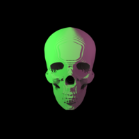 Topographic Skull - Thumbnail 2